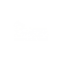 DVGA Digital Solutions